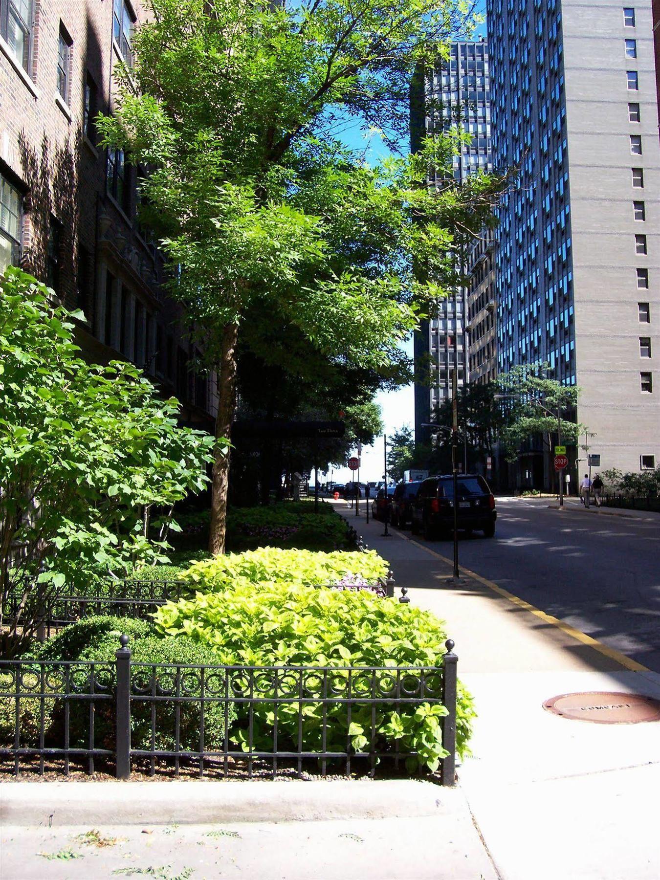 Dewitt Hotel And Suites ชิคาโก ภายนอก รูปภาพ